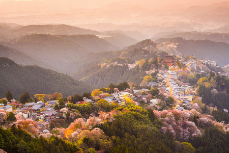 Yoshinoyama，日本在春天