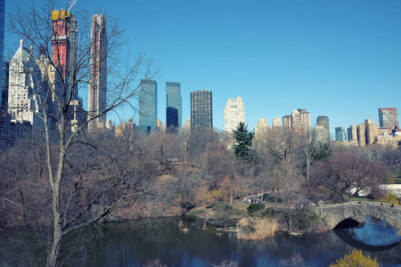 纽约市的天际线与城市摩天大楼。湖的春天看法和中央公园的桥梁