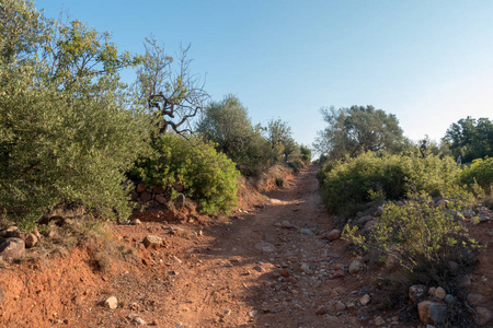 在西班牙 Castellon 的圣地亚哥和通过奥古斯塔的路