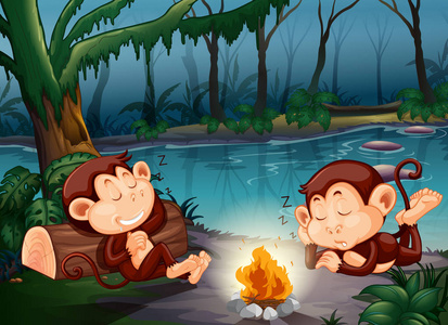 猴子睡在森林插图