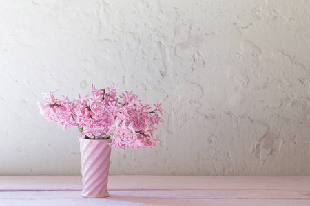 白色背景花瓶中的粉红色风信子