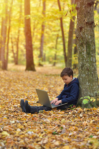 小男孩与笔记本电脑在森林, 秋天的颜色, 日落温暖的光