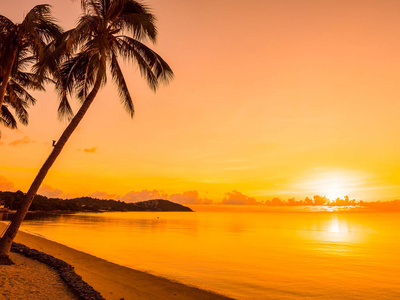 美丽的热带海滩海和海洋与椰子棕榈树在日出时间为旅行和假期