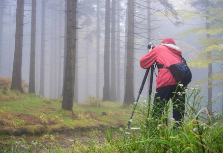 Photograprer 与三脚架在捷克共和国的黑暗魔法森林在秋天
