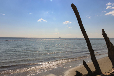 明亮的日光夏季海景