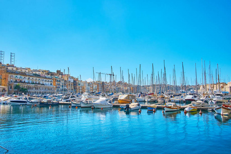 Vittoriosa 与数以百计的帆船游艇停泊在造船厂, Birgu, 马耳他