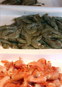 框的鲜虾和虾发售