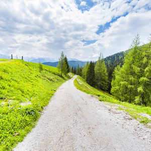蜿蜒的尘土路径在奥地利风景与森林领域牧场地和草甸