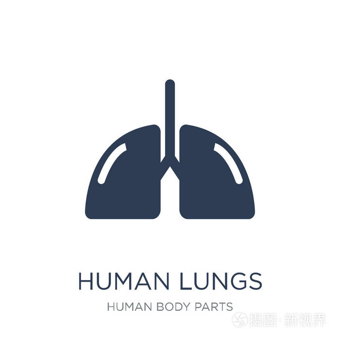 "人类肺" 图标.