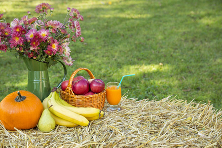 健康生活方式概念 新鲜水果和维生素补充桩秸秆, 吊床花园的背景