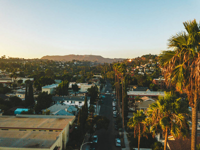 比佛利山庄街与棕榈树在日落在洛杉矶与好莱坞标志在地平线上