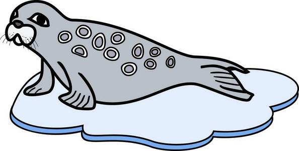 在浮冰上的可爱的卡通环形海豹