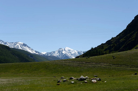 山区景观在废弃的阿克塔什水电站地区。阿尔泰共和国