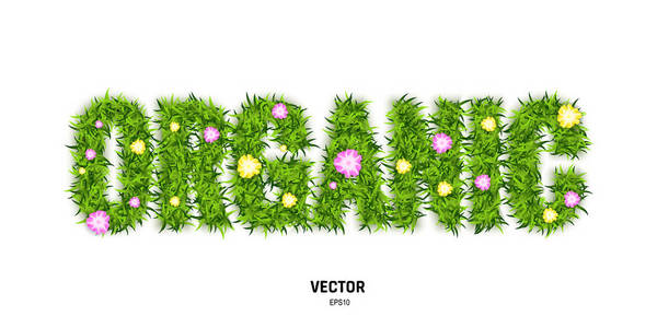 绿色草和花的有机词。3d 白色背景下生态文本的矢量插图