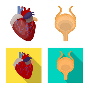 物体和人体图标的孤立对象。一套身体和医疗股票向量例证