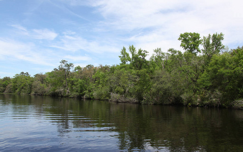黑溪河在佛罗里达黏土县