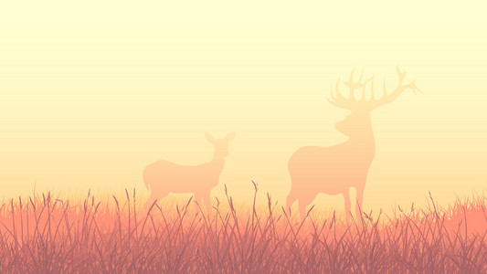 鹿在清晨田野的水平插图