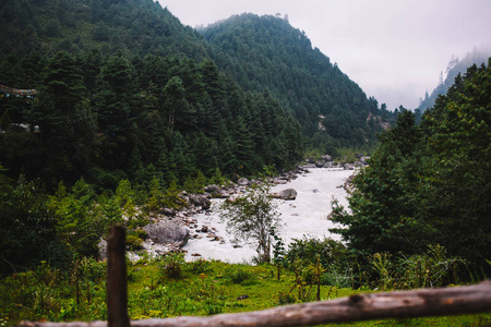 山河流经喜马拉雅山麓的森林山谷。河流蜿蜒流过一条由森林环绕的深谷峡谷。高喜马拉雅山的壮观风景