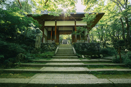 日式日本寺庙日本枫叶在京都复古影片样式