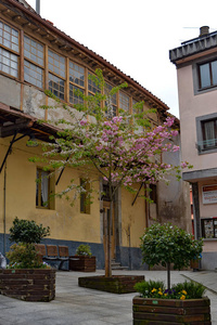 Tineo 街道, 阿斯图里亚斯土地