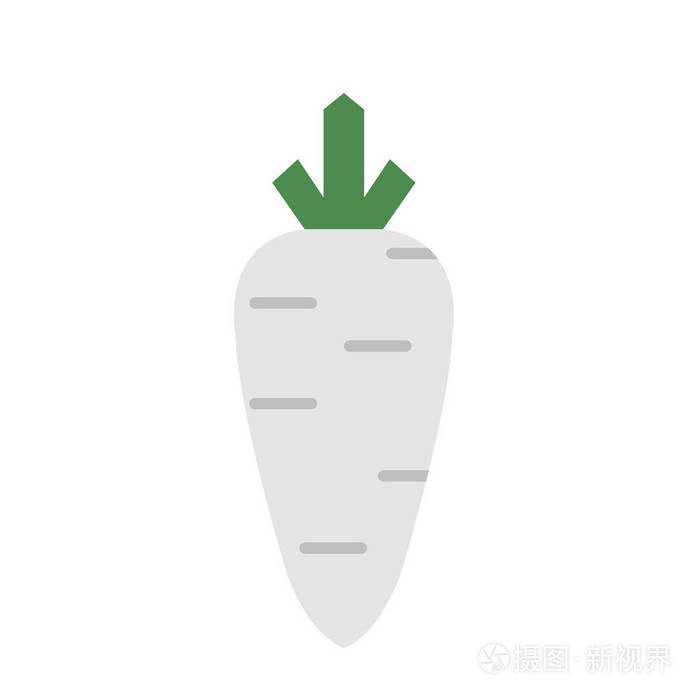 天然有机蔬菜白萝卜, 健康矢量五颜六色的食品蔬菜香料成分