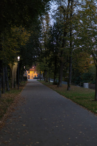 城市公园在晚上与灯和大道与树在德国南部在10月月在秋天季节