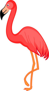 粉红色的火烈鸟在白色背景上