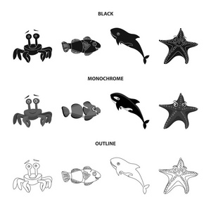 海洋和动物标志的孤立对象。海洋和海洋股票符号收集网