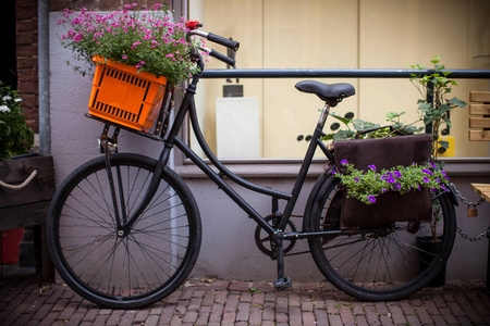 荷兰街头自行车