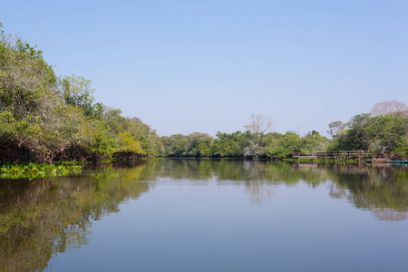 从潘塔纳尔湿地，巴西湿地区域的全景。通航的泻湖。南美洲的里程碑