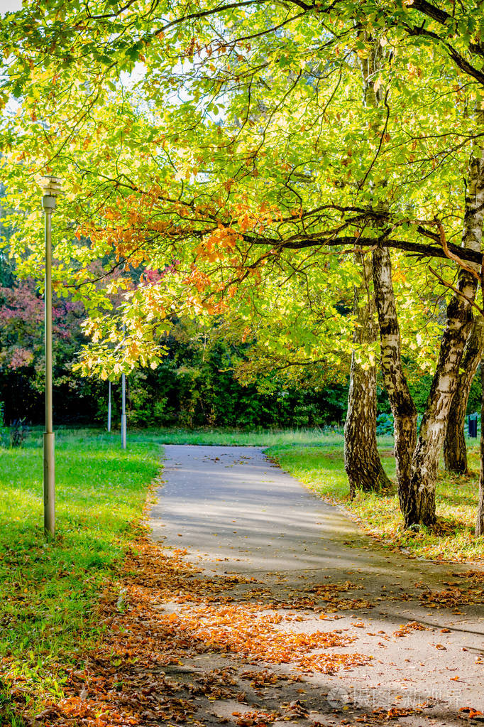 在阳光下的秋天公园的美丽的风景照片-正版商用图片09pjua-摄图新视界