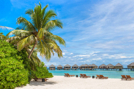 夏季日在马尔代夫热带海滩上的木制日光浴和雨伞