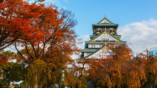 大阪城堡与秋天树叶在日本