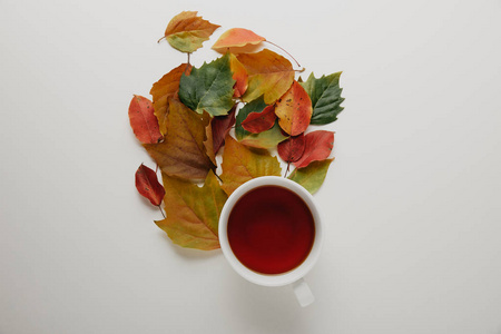 平躺着落叶和一杯热茶在白色的背景