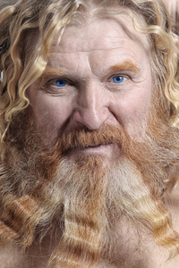 在白色背景下的一个成年红头发男子与长波浪状头发和胡子特写肖像