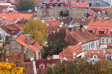 在立陶宛维尔纽斯在秋天的红砖屋顶
