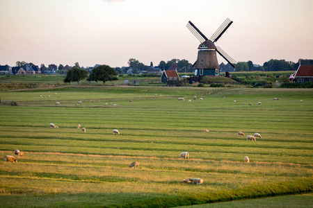 传统的风车在荷兰