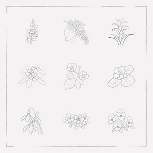 集植物图标线风格符号与花, 雪莲, 樱花和其他图标为您的 web 移动应用程序徽标设计