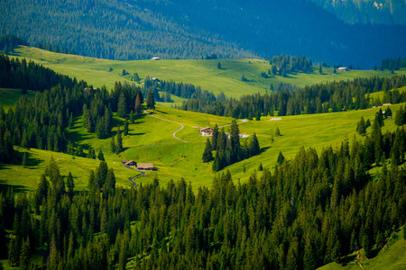 瑞士乡村乡村的夏天风景