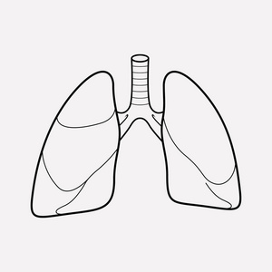 肺图标线元素。为您的 web 移动应用程序徽标设计在干净的背景上隔离的肺图标线的向量图示