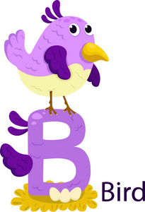 在白色的鸟儿的孤立动物字母 B 的插图