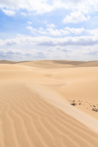 沙沙漠佛得角博阿维斯维亚纳
