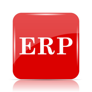 erp 图标