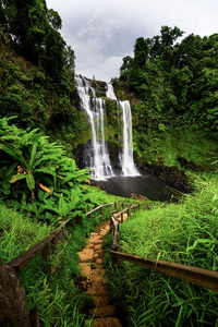 老挝热带雨林瀑布图片