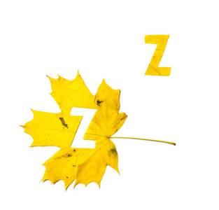 秋天的信件。字母 Z 是从一个美丽的黄色枫叶在白色的背景雕刻。在工作表上, 信函的字母模式