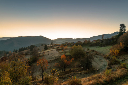秋天在罗多彼山脉, 保加利亚。清晨