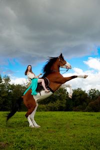 美丽的女子和一匹马在该字段中。在农场上的女孩
