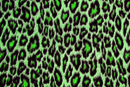 绿豹 捷豹 猞猁皮肤背景