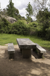 春天的绿色森林里树荫下野餐的石桌