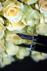 玫瑰和钢笔